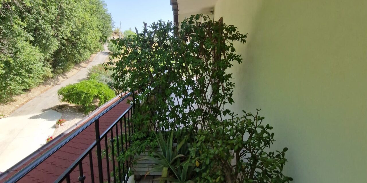 19621dc9-1993-477e-8850-cbe3c3feb508